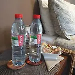 Double Accueillante Avec Douche Privative Écully